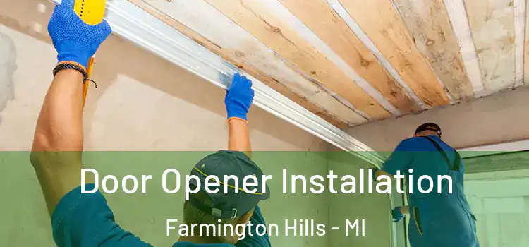  Door Opener Installation Farmington Hills - MI