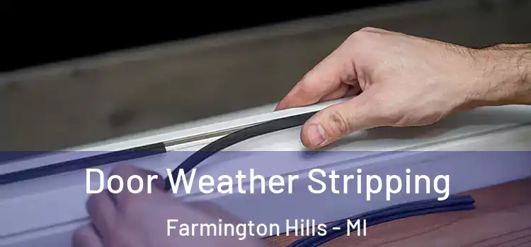  Door Weather Stripping Farmington Hills - MI