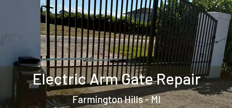  Electric Arm Gate Repair Farmington Hills - MI