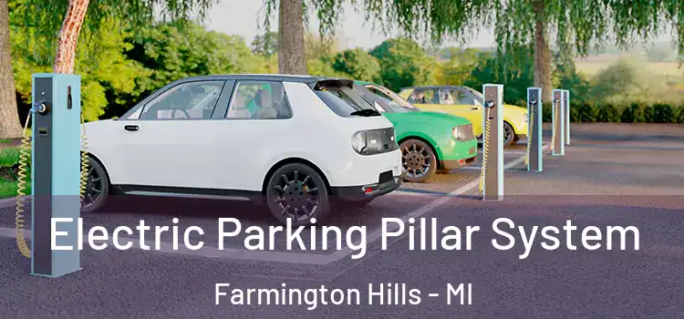 Electric Parking Pillar System Farmington Hills - MI