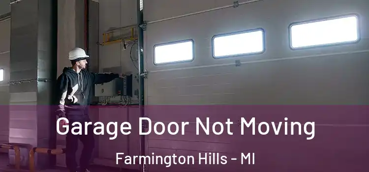  Garage Door Not Moving Farmington Hills - MI