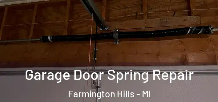  Garage Door Spring Repair Farmington Hills - MI