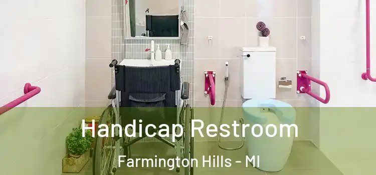  Handicap Restroom Farmington Hills - MI