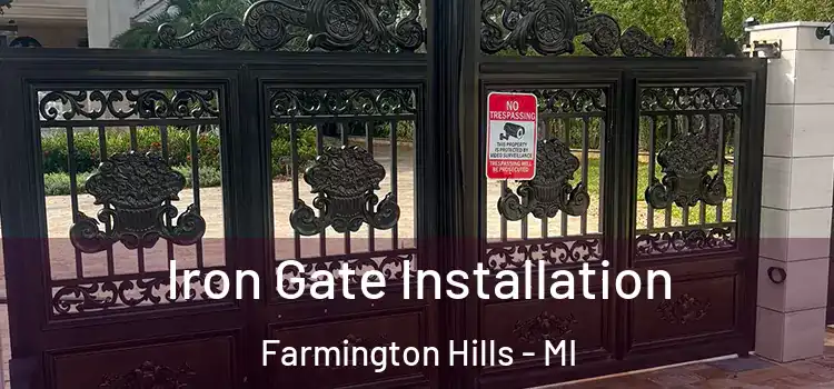 Iron Gate Installation Farmington Hills - MI