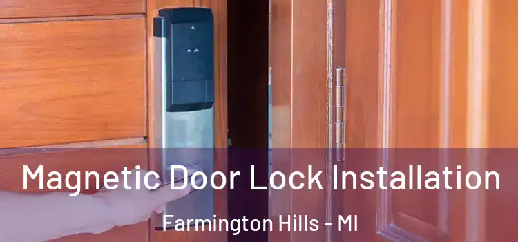  Magnetic Door Lock Installation Farmington Hills - MI