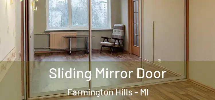  Sliding Mirror Door Farmington Hills - MI